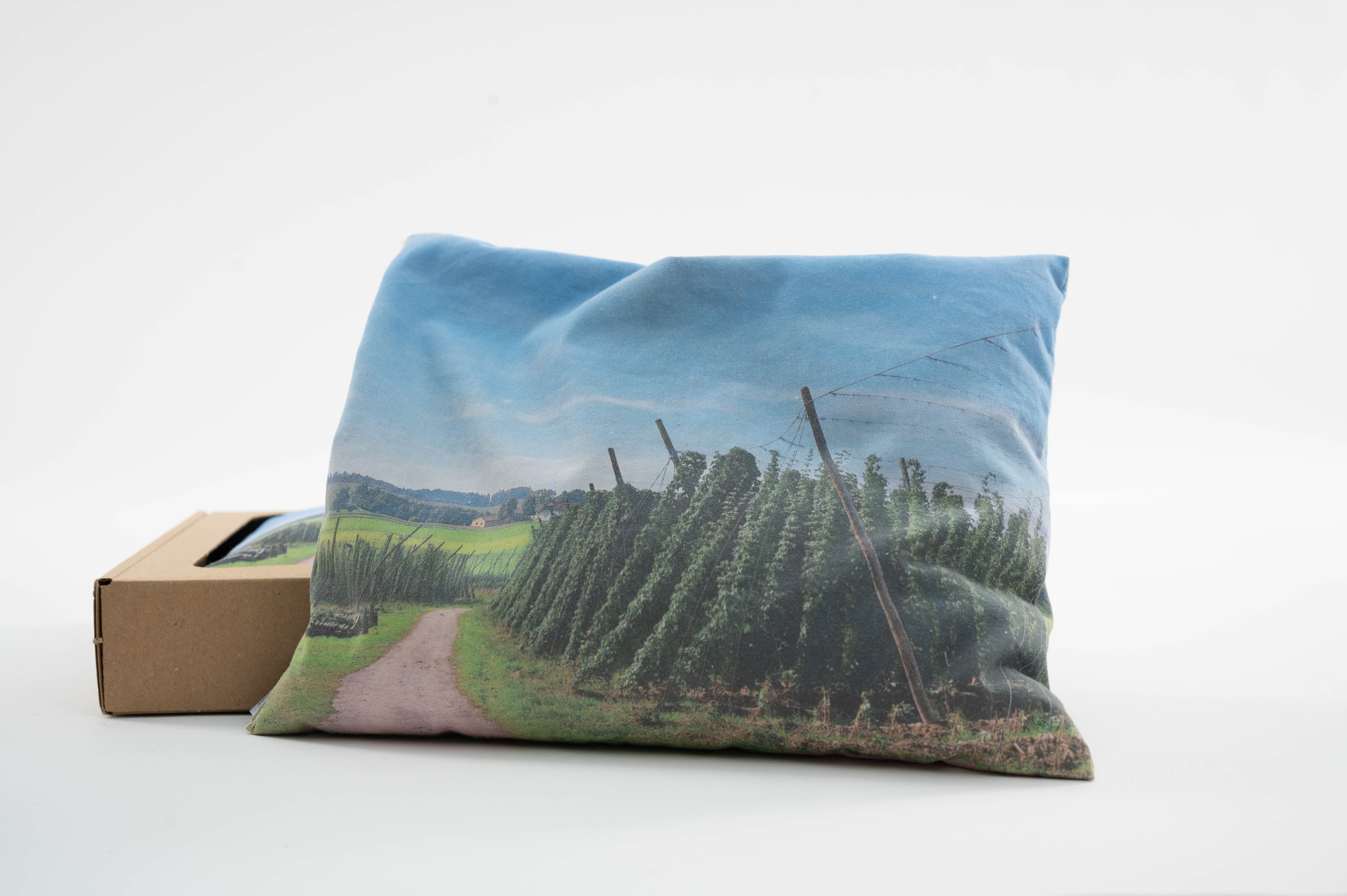 Freistädter Bier Hopfenkissen